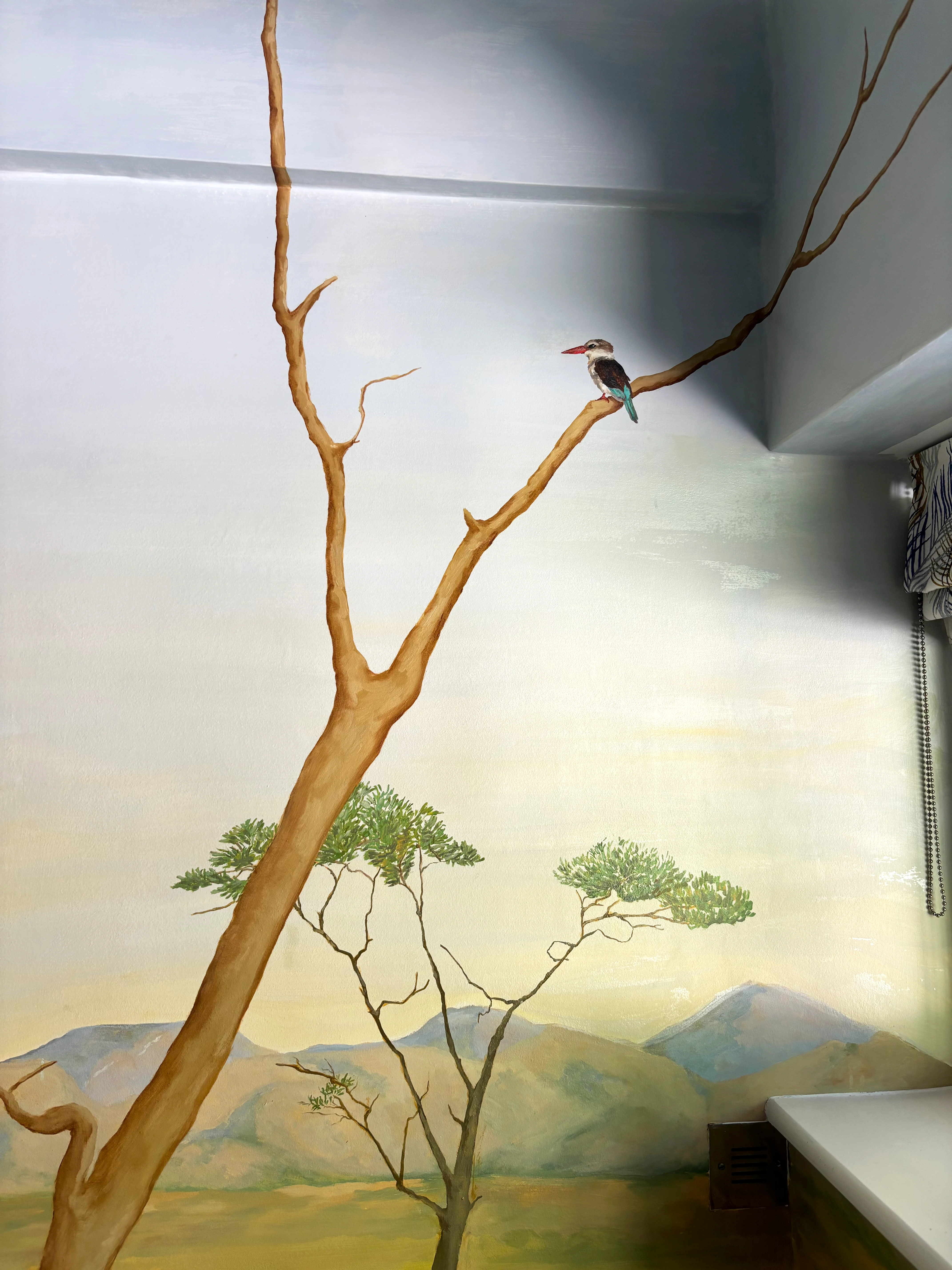 Panoramic Savanna