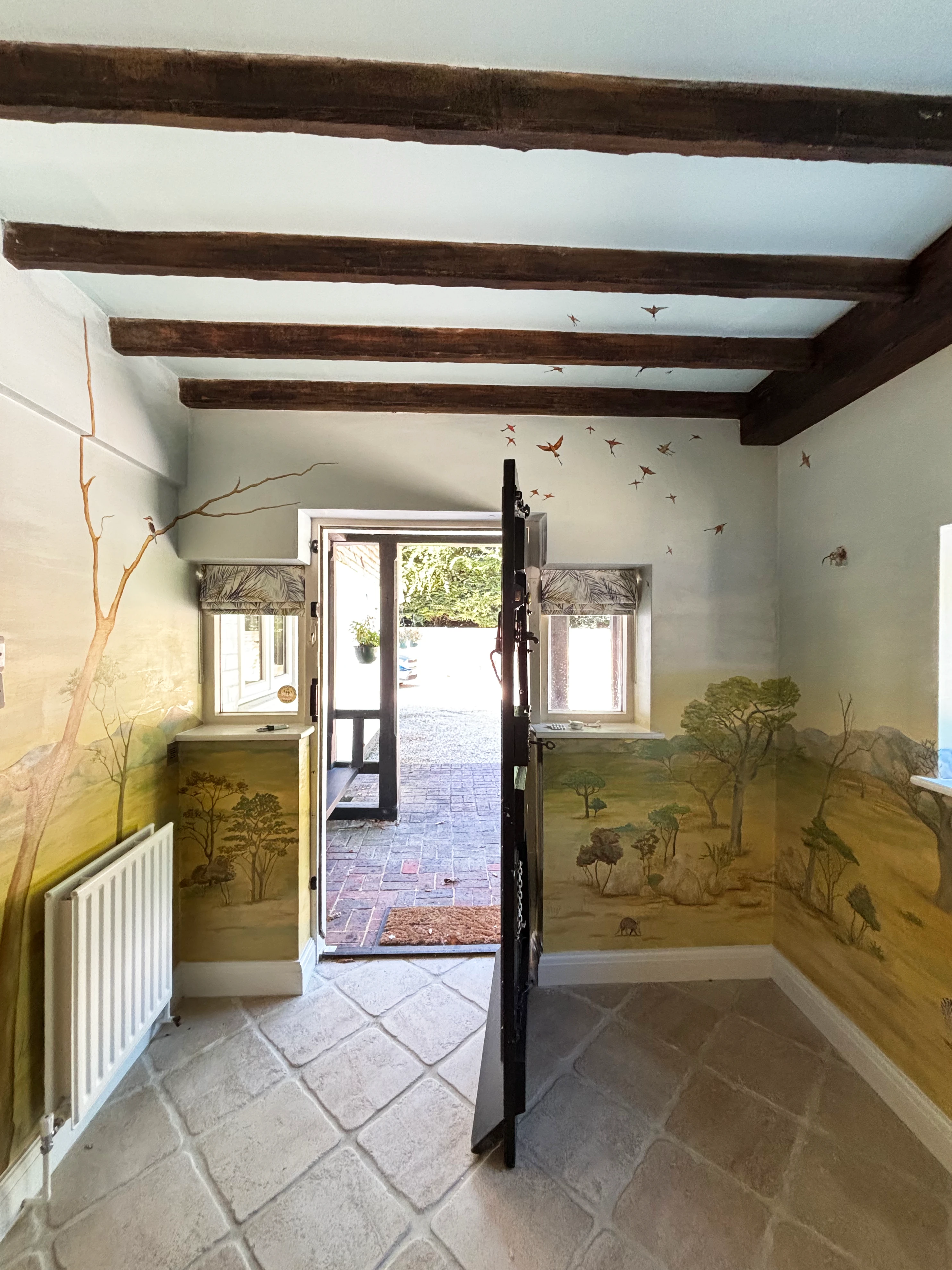 Panoramic Savanna
